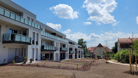 Garten Juni 2023